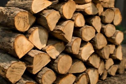 Thumbnail for Дрова в спб: цена без переплат