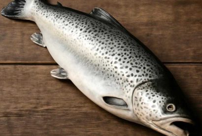 Thumbnail for Лосось по-азиатски на пару с имбирём, мясо и цитрусовым паром