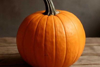 Thumbnail for Тыквенная сфера под яичной шапкой