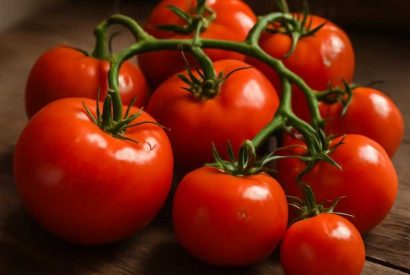 Thumbnail for Как солить помидорчики с точным вкусом и чистым ароматом